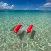 ヒメ日記 2025/06/24 12:16 投稿 鈴木けい子 ローテンブルク