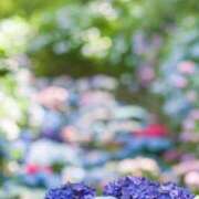 ヒメ日記 2025/08/22 20:51 投稿 仙堂　文乃 札幌ソフィア