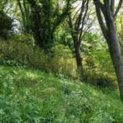 ヒメ日記 2025/05/17 14:37 投稿 あかり 北九州人妻倶楽部（三十路、四十路、五十路）