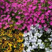 ヒメ日記 2025/06/15 22:45 投稿 あかり 北九州人妻倶楽部（三十路、四十路、五十路）