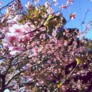 ヒメ日記 2026/03/30 12:59 投稿 あかり 北九州人妻倶楽部（三十路、四十路、五十路）