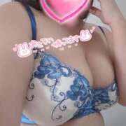 ヒメ日記 2025/03/13 09:07 投稿 こころ 長崎佐世保ちゃんこ