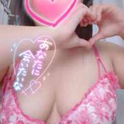 ヒメ日記 2025/05/20 12:47 投稿 こころ 長崎佐世保ちゃんこ