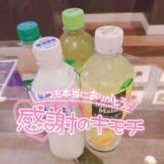 ヒメ日記 2025/06/18 17:17 投稿 こころ 長崎佐世保ちゃんこ
