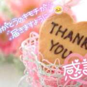 ヒメ日記 2026/03/27 22:07 投稿 こころ 長崎佐世保ちゃんこ