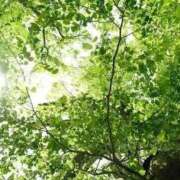 ヒメ日記 2026/04/08 12:27 投稿 こころ 長崎佐世保ちゃんこ