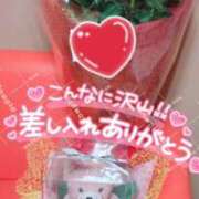 ヒメ日記 2026/04/19 23:37 投稿 こころ 長崎佐世保ちゃんこ