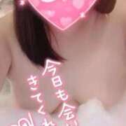 ヒメ日記 2026/08/25 09:17 投稿 こころ 長崎佐世保ちゃんこ