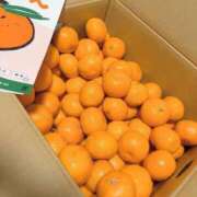 ヒメ日記 2025/12/11 17:45 投稿 じゅん アバンチュール（難波）