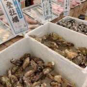 ヒメ日記 2026/03/01 20:20 投稿 じゅん アバンチュール（難波）