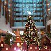 ヒメ日記 2024/12/06 18:21 投稿 まいこ ゴールドクイーン