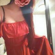 ヒメ日記 2024/12/23 11:21 投稿 まいこ ゴールドクイーン