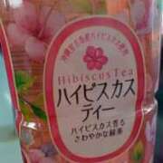 ヒメ日記 2025/03/24 07:57 投稿 まいこ ゴールドクイーン