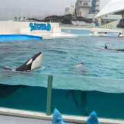 ヒメ日記 2025/08/29 00:17 投稿 まいこ ゴールドクイーン