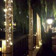 ヒメ日記 2025/09/20 22:03 投稿 まいこ ゴールドクイーン