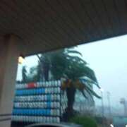 ヒメ日記 2025/11/11 08:02 投稿 まいこ ゴールドクイーン