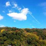 ヒメ日記 2025/11/22 22:27 投稿 まいこ ゴールドクイーン