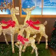 ヒメ日記 2025/12/24 19:24 投稿 まいこ ゴールドクイーン