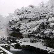 ヒメ日記 2026/02/15 14:50 投稿 まいこ ゴールドクイーン