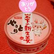 ヒメ日記 2026/04/03 18:43 投稿 まいこ ゴールドクイーン