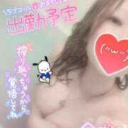 ヒメ日記 2025/08/06 12:16 投稿 まりな ギャルサー