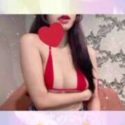 ヒメ日記 2024/12/12 11:00 投稿 ひまわり 天空のマット