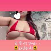 ヒメ日記 2024/12/29 12:20 投稿 ひまわり 天空のマット