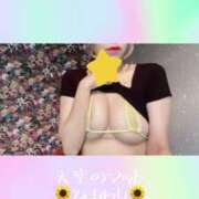 ヒメ日記 2025/02/09 19:03 投稿 ひまわり 天空のマット