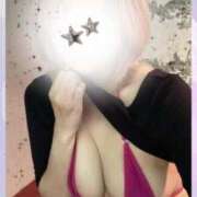 ヒメ日記 2025/05/22 14:10 投稿 ひまわり 天空のマット