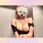 ヒメ日記 2025/05/28 18:21 投稿 ひまわり 天空のマット