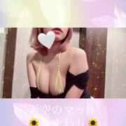 ヒメ日記 2025/06/04 13:06 投稿 ひまわり 天空のマット