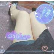 ヒメ日記 2025/05/12 11:57 投稿 いとう 丸妻 厚木店