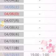 ヒメ日記 2025/04/03 07:06 投稿 れいな 変態なんでも鑑定団