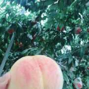 れいこ 土曜日出勤します✨ 町田人妻城