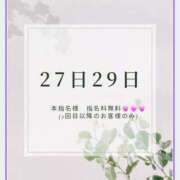 ヒメ日記 2025/04/27 08:53 投稿 ひなた 横浜秘密倶楽部
