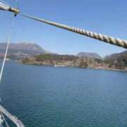 ヒメ日記 2025/03/25 09:24 投稿 ひとみ 桃李（とうり）