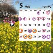 ヒメ日記 2025/05/01 08:04 投稿 ひとみ 桃李（とうり）