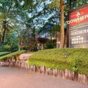 ヒメ日記 2025/06/23 23:49 投稿 ひとみ 桃李（とうり）