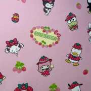 ヒメ日記 2025/06/29 23:54 投稿 ひとみ 桃李（とうり）