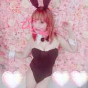 ヒメ日記 2025/07/20 05:54 投稿 ひとみ 桃李（とうり）