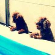 ヒメ日記 2025/09/02 06:04 投稿 ひとみ 桃李（とうり）