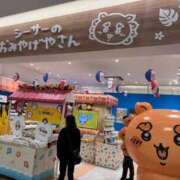 ヒメ日記 2025/09/24 07:04 投稿 ひとみ 桃李（とうり）