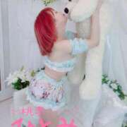 ヒメ日記 2025/10/02 09:44 投稿 ひとみ 桃李（とうり）