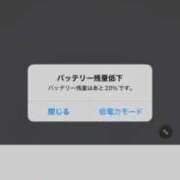 ヒメ日記 2025/11/03 08:34 投稿 ひとみ 桃李（とうり）