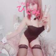 ヒメ日記 2025/12/01 07:44 投稿 ひとみ 桃李（とうり）