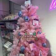 ヒメ日記 2025/12/19 22:54 投稿 ひとみ 桃李（とうり）