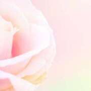 ヒメ日記 2025/07/24 11:45 投稿 吉永 小百合 熟女・人妻マダム宮殿