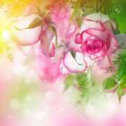 ヒメ日記 2025/10/23 12:01 投稿 吉永 小百合 熟女・人妻マダム宮殿