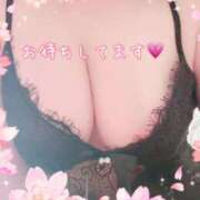 ヒメ日記 2025/03/26 08:53 投稿 あやこ 鹿児島人妻 楊貴妃