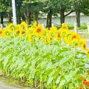 ヒメ日記 2025/07/20 22:30 投稿 ゆうき 鹿児島人妻 楊貴妃